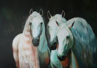 horse portret triple